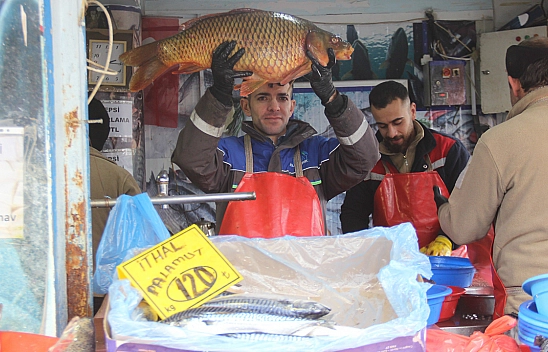 Elazığ'da Bir Çağrı da Balıkçılardan Geldi!