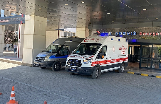 Elazığ'da bir kadını kene ısırdı