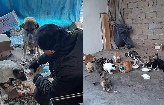 Elazığ'da Bir Vatandaş Sokaktaki Canlarımıza Evladı Gibi Bakıyor