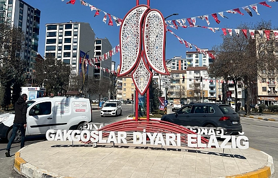 Elazığ'da Biri Artarken Diğeri Azaldı!