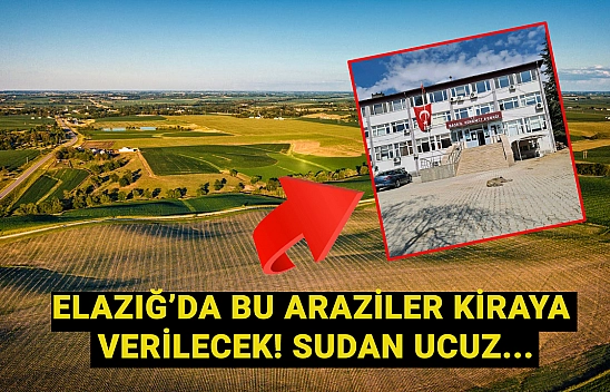 Elazığ'da araziler sudan ucuz fiyata kiraya verilecek! Başvuru tarihini kaçırmayın