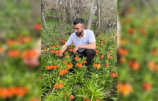 Elazığ'da bu çiçeği koparmanın cezası 244 bin lira