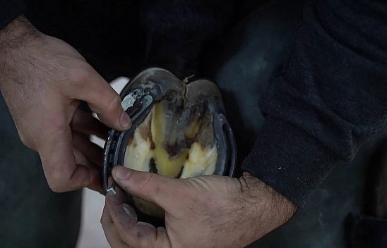 Elazığ'da Bu Kursu Tamamlayanlar İş Sahibi Olabilecek