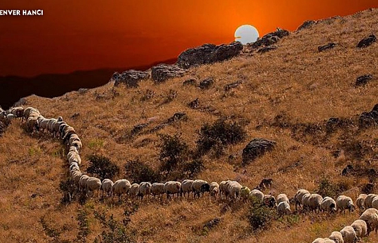 Elazığ'da bugün hava nasıl? (16 Aralık 2024)
