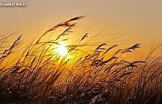 Elazığ'da bugün hava nasıl olacak? (30 Ocak 2025)