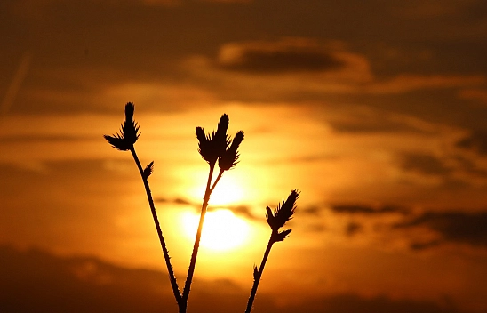 Elazığ'da bugün hava nasıl olacak? (21 Temmuz 2025)