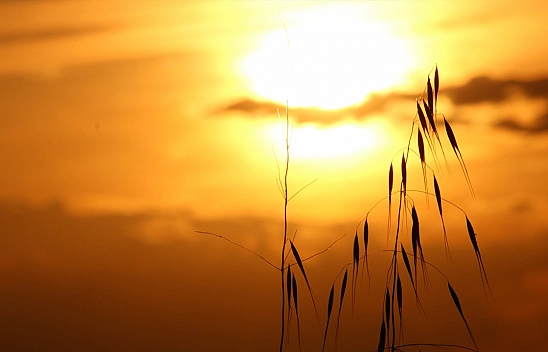 Elazığ'da bugün hava nasıl olacak? (23 Ağustos 2025)