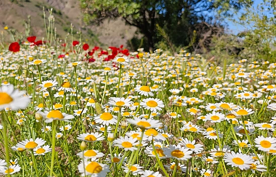 Elazığ'da bugün hava nasıl olacak? (6 Eylül 2025)