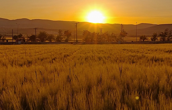 Elazığ'da bugün hava nasıl olacak? (10.10.2025)