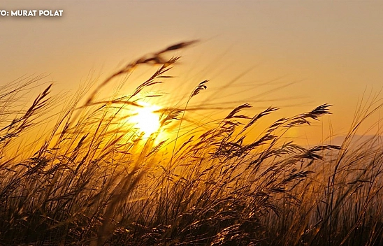 Elazığ'da bugün hava nasıl olacak? (16.10.2025)