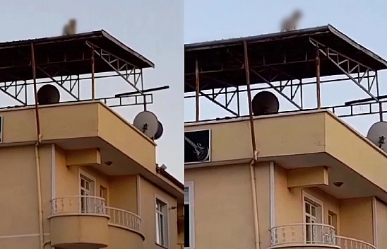 Elazığ'da Bugün Zirvede Olanlar