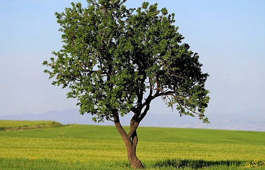 Elazığ'da Bunları Yapmanın Tam Sırası!