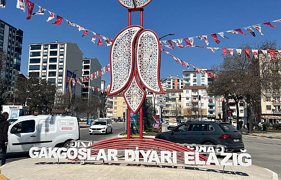 Elazığ'da Bunu Yapanlar Yandı!