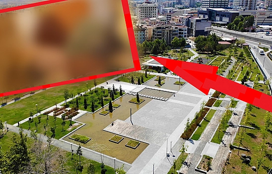 Elazığ'da Büyük Heyecan: Uğraşlar 3 Ay Sürecek, Depolar Dolacak!