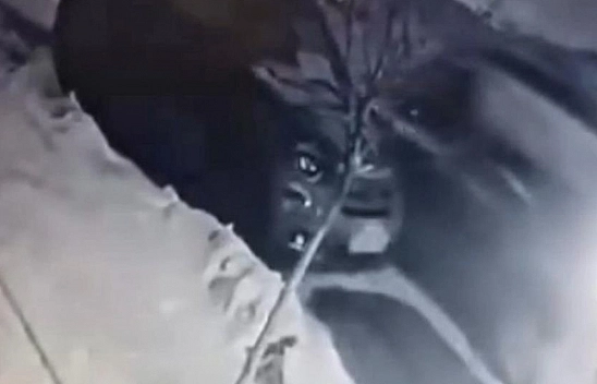 Elazığ'da buzda kayan araç park halindeki otomobile çarptı