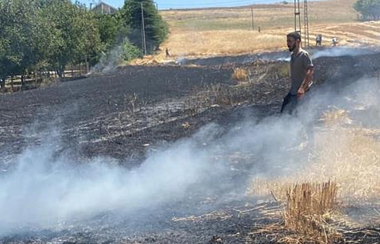 Elazığ'da çiftçilerin kabusu: Yaz yangınları!