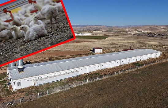 Elazığ'da çiftçinin başarısı: Devlet desteğiyle ikinci çiftliği kurdu