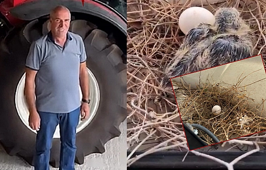 Elazığ'da çiftçinin fedakârlığı karşılığını buldu: Traktördeki yuvadan minik kuş çıktı