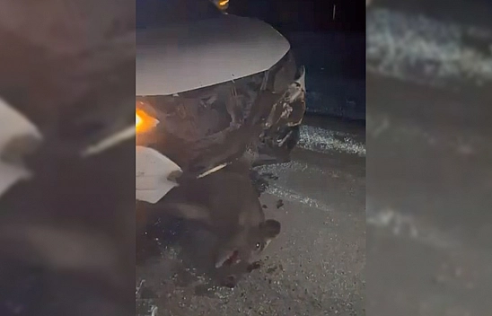 Elazığ'da cip domuza çarptı: 1 Hayvan telef, araç hasarlı