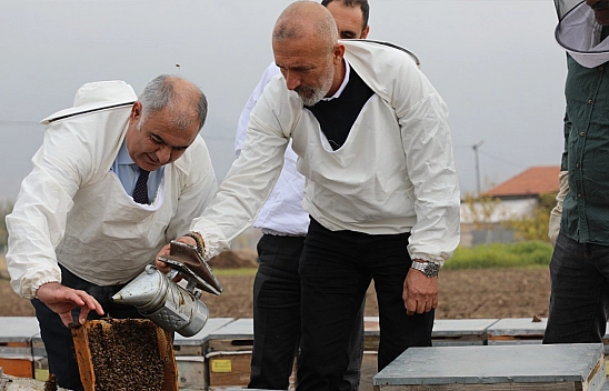 Elazığ'da coğrafi işaretli geven balı üretimi yerinde incelendi