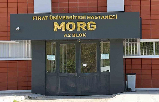 Elazığ'da çöp arabasının çarptığı belediye işçisi hayatını kaybetti