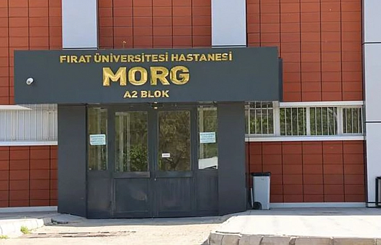 Elazığ'da dengesini kaybedip uçurumdan düşen bir kişi hayatını kaybetti