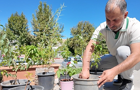 Elazığ'da depremden kalan fidanlar şehirde hayat buldu
