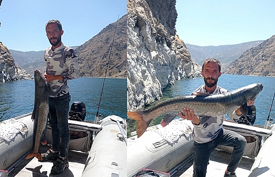 Elazığ'da dev balık ağa takıldı
