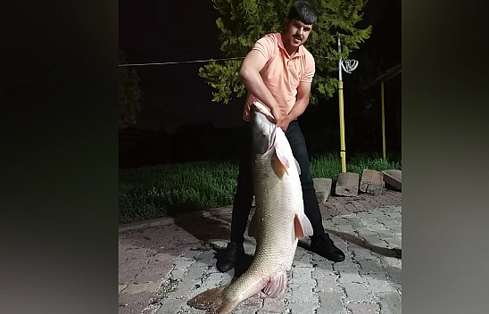 Elazığ'da dev balık yakalandı