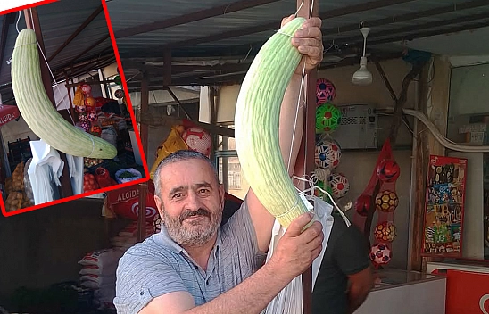 Elazığ'da dev küte şaşkına çevirdi