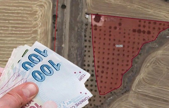 Elazığ'da dev tarla ihaleye çıktı! Sulu bahçe vasıflı arazi 31 Aralık'ta ihaleye çıkıyor… Ceviz ağaçları var