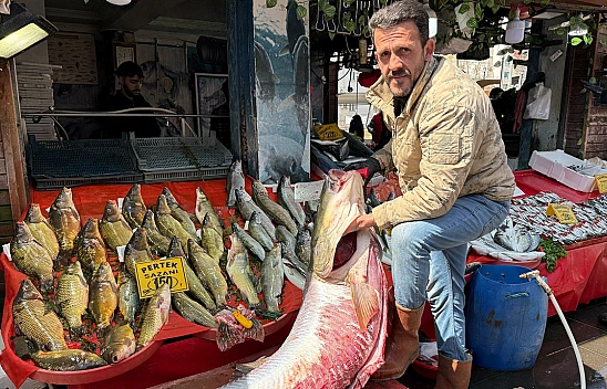 Elazığ'da dev turna balığı yakalandı