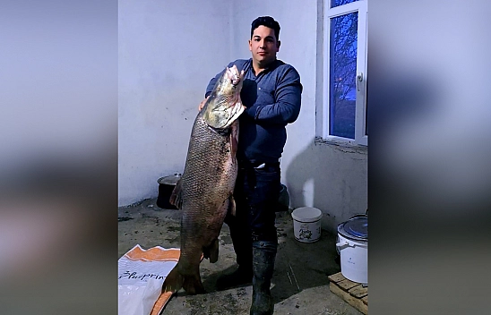 Elazığ'da dev turna balığı yakalandı!