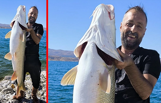 Elazığ'da dev turna balığı yakalandı!