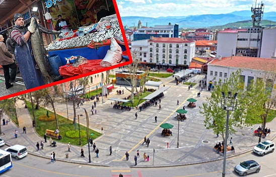 Elazığ'da dev turna balığı yakalandı