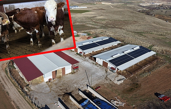 Elazığ'da devlet desteğiyle hayaller gerçeğe dönüştü