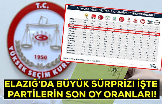 Elazığ'da dikkat çeken araştırma!