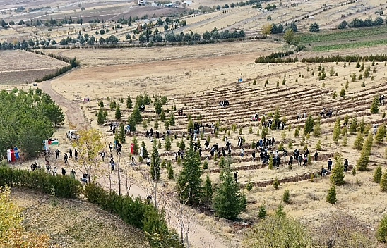 Elazığ'da Doğu Türkistan ve Filistin için anlamlı fidan dikimi