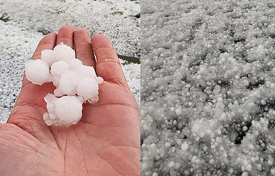 Elazığ'da dolu yağışı meyve ağaçlarına zarar verdi
