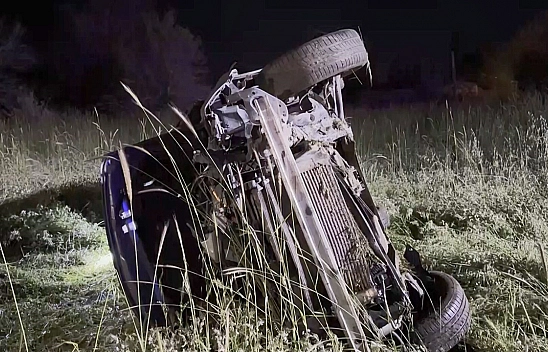 Elazığ'da domuza çarpan otomobil şarampole uçtu: 5 yaralı