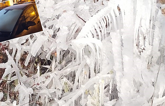 Elazığ'da don etkisini gösterdi