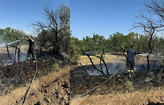 Elazığ'da Dün Çıkan Toplam Yangın Sayısını  Görenler Şok Oldu!