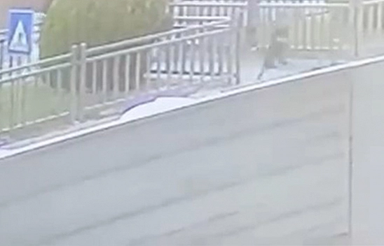 Elazığ'da faciaya ramak kaldı!