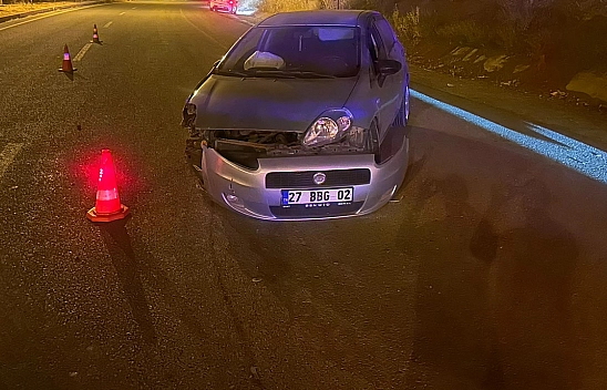 Elazığ'da feci kaza!