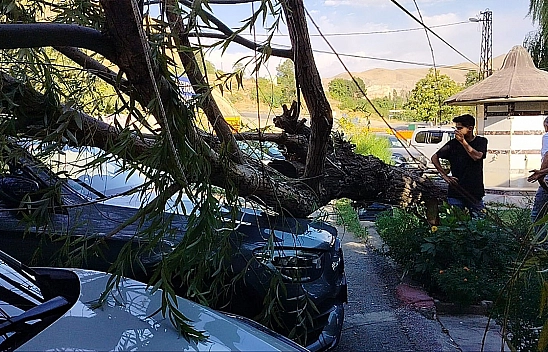 Elazığ'da fırtına dehşeti: 2 Araç hasar gördü