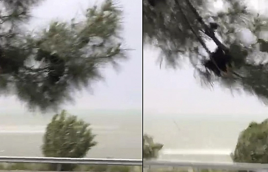 Elazığ'da fırtına etkili oldu