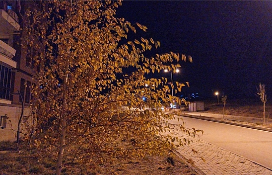 Elazığ'da fırtına hayatı olumsuz etkiledi