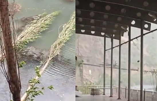 Elazığ'da fırtına hayatı olumsuz etkiledi