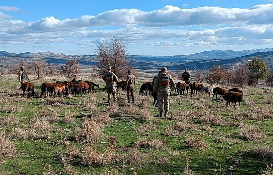 Elazığ'da Fırtına Sonrası Kaybolan Koyunları Jandarma Buldu