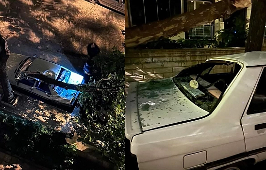 Elazığ'da Fırtınanın Etkisiyle Araçların Üzerine Ağaç Devrildi